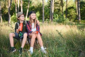 Two happy children having fun during forest hike on beautiful day in pine forest. Cute boy scout with binoculars during hiking in summer forest. Concepts of adventure, scouting and hiking tourism photo