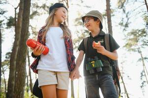 Happy excited school children with backpacks in casual clothes enjoying walk in forest on sunny autumn day, two active kids boy and girl running and playing together during camping trip in nature. photo