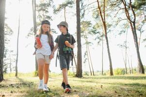 Happy excited school children with backpacks in casual clothes enjoying walk in forest on sunny autumn day, two active kids boy and girl running and playing together during camping trip in nature. photo