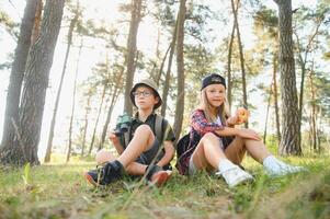Group of curious happy school kids in casual clothes with backpacks exploring nature and forest together on sunny autumn day. photo