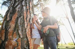 Boy and girl with backpacks looking examining tree bark through magnifying glass while exploring forest nature and environment on sunny day during outdoor ecology school lesson. photo