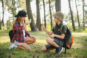 Group of curious happy school kids in casual clothes with backpacks exploring nature and forest together on sunny autumn day, girl holding magnifying glass and looking at fir cone in boy hands. photo