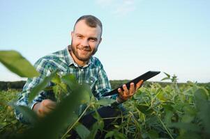Young agronomist holds tablet touch pad computer in the soy field and examining crops before harvesting. Agribusiness concept. agricultural engineer standing in a soy field with a tablet in summer. photo