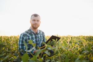 Young agronomist holds tablet touch pad computer in the soy field and examining crops before harvesting. Agribusiness concept. agricultural engineer standing in a soy field with a tablet in summer. photo