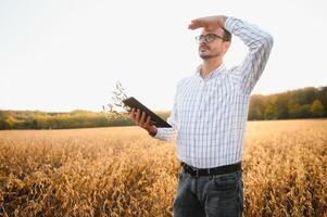 agronomist or farmer examining crop of soybeans field photo