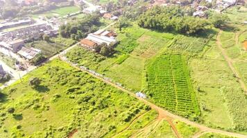 Aerial Cinematic of Densely populated settlements on the edge of the city. Landscape of green rice fields in the Bandung area - Indonesia. Agricultural industry. Panoramic Landscape. 4k video