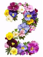 Typeface made out of colored spring flowers the character 2 photo