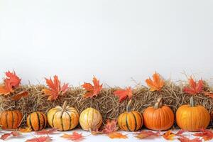Vibrant Autumn Arrangement of Pumpkins on Hay With Colorful Leaves photo