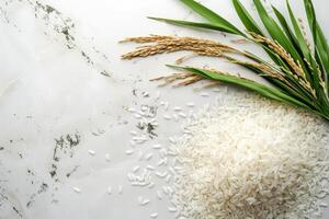 Freshly Harvested Rice Grains and Stalks photo