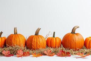 Vibrant Autumn Arrangement of Pumpkins on Hay With Colorful Leaves photo
