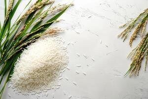 Freshly Harvested Rice Grains and Stalks photo
