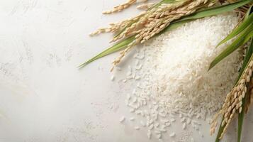 Freshly Harvested Rice Grains and Stalks photo