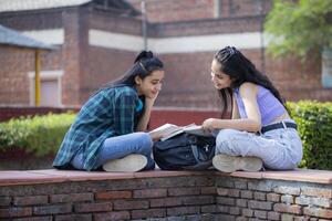Two Good Looking Females Reading a Notebook in the College Park. photo