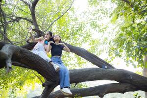 Female Friends Pouting While Sitting On a Tree Branch With Her Phone, Taking Photos