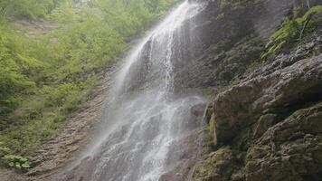 Bottom view of jungle waterfall on a summer day. Action. Lush green forest, wet rock and waterfall. video