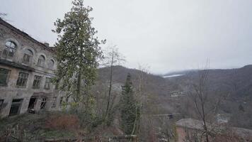 Grey landscape. Action.A gray spring forest without foliage next to an old building and a gray sky overhead. video