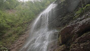 View from below of waterfall flowing down cliff in forest. Action. Beautiful stream of falling waterfall in forest. Waterfall on rocky wall in forest area video