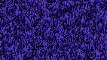 Black background.Design.Green and purple algae in abstraction move and sway. video