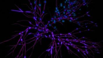 3d neural network with electrical impulses. Design. Neural branches with fast glowing pulses on black background. Simple illustration of neural impulses in brain video