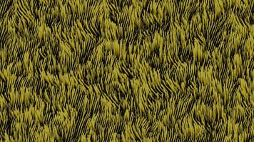 Background of moving wavy lines on surface. Design. Moving waves 3d field of grass or algae. Field of algae or grass with wavy streams video