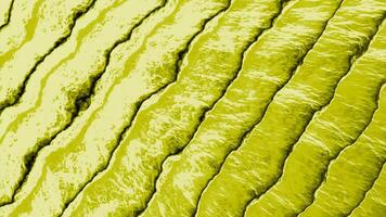 Brilliant background.Design. Yellow and purple background in abstraction which consists of large stripes and rotates in different directions. video