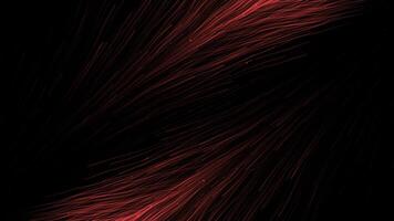 Abstract beautiful colorful feathers appear and disappear on a black background. Motion. Feathers of a beautiful bird. video