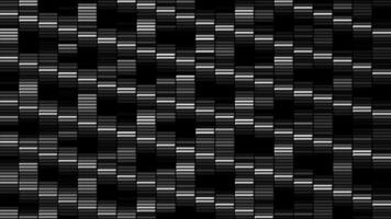 Black and white flowing short stripes, seamless loop. Motion. Monochrome segments moving in vertical and diagonal directions. video