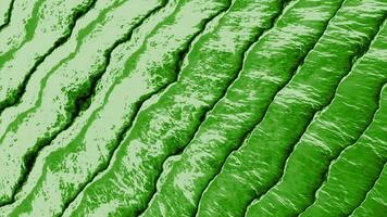 Top view of green wide and long lines with waving edges, seamless loop. Design. Colorful blurring stripes. video
