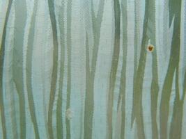 Background abstract photos are taken from the surrounding environment which is formed naturally