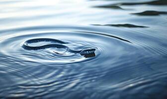Snake on water surface photo