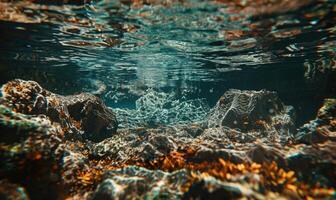 Seabed surface with mesmerizing caustic patterns photo