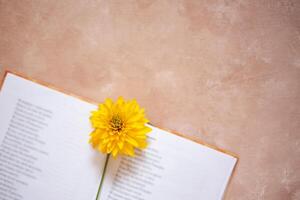 open book on a beige background with a flower bookmark photo
