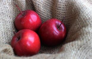 Freshly Picked Domestic Red Apples On Craft Burlap Fabric Stock Photo