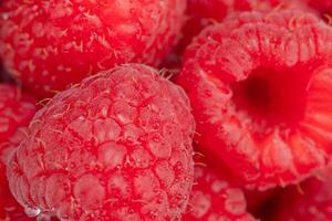 Macro shot of red raspberry. Summer background photo