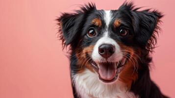 Medium-sized mixed breed dog, featuring a blend of brown, white, and black fur, captured with a cheerful smile against a soft pastel background photo