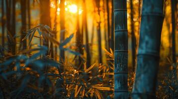A close up of a bamboo forest with the sun shining through, AI photo