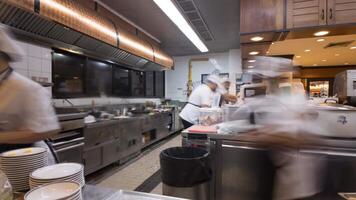 4k Time lapse of a busy team of chefs and kitchen staff working on different tasks in a modern kitchen preparing orders to serve video