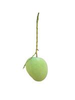 isolated raw mango fruit on white background. It has a green peel and white flesh with a sour taste. Some varieties are sweet and oily. Eat raw or make food. photo