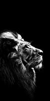 Regal Lion Mane Portrait photo