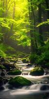 Serene Forest Creek photo