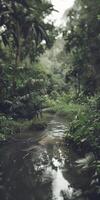 Tranquil Stream in Forest photo