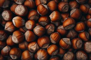 Nuts background, pile of brown hazelnuts photo