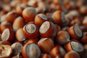 Close-up hazelnuts pile photo