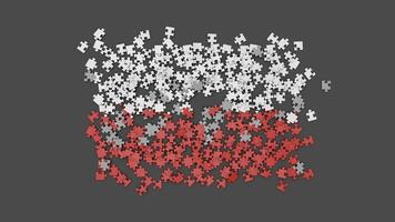 3D Poland flag assembled from a puzzle video