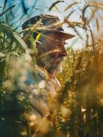 an old man in a hat and hat in a field of wheat photo
