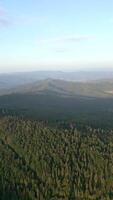 Aerial view of mountain forest landscape in summer, Poland. video