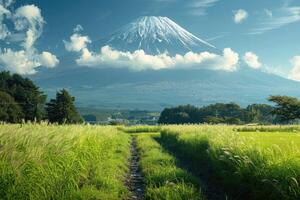 Fuji Mountain with clouds and grass field, Japan. photo