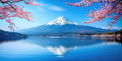 Colorful sakura Season and Mountain Fuji with morning fog . photo