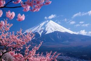 sakura Season and Mountain Fuji with morning fog . photo