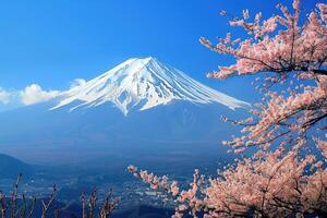 Colorful sakura Season and Mountain Fuji with morning fog . photo